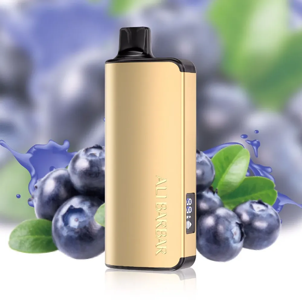 imgi 16 alibarbar ingot 9000 puffs blueberry mint.webp imgi 16 alibarbar ingot 9000 puffs blueberry mint.webp